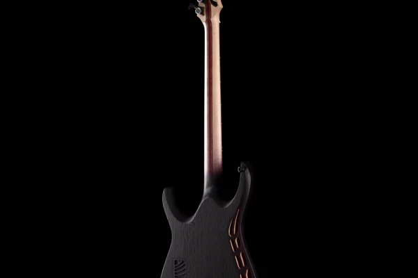 enTour+2026+OD+Guitars+Venus+7+-+Back+Full+–+1